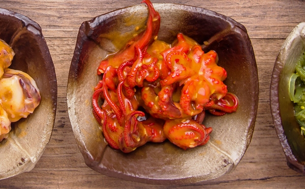 芝麻八爪鱼