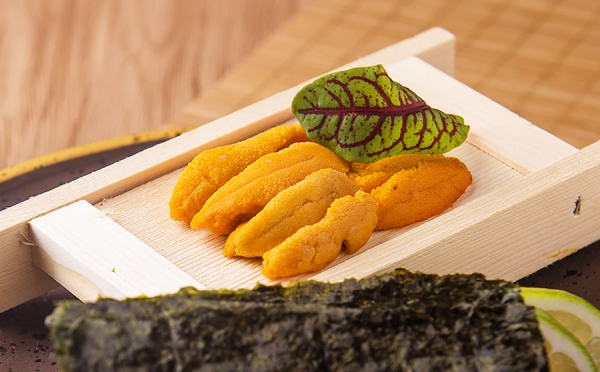 海胆刺身